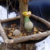 photo 2019-01-15 12-00-24