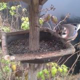 photo 2019-12-12 12-00-00