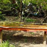 photo 2021-04-25 14-05-47