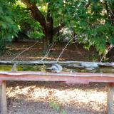 photo 2021-08-07 18-43-51