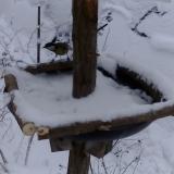 photo 2019-01-05 15-09-06