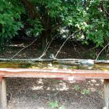 photo 2021-08-09 12-22-45