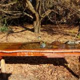 photo 2021-10-27 11-05-03