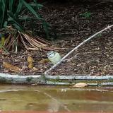 photo 2021-09-07 14-55-49 kekcinege