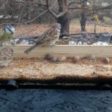 photo 2021-11-10 10-20-29