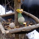 photo 2019-01-17 08-27-25