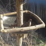 photo 2019-03-01 15-02-23