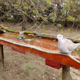 photo 2021-04-06 11-03-36