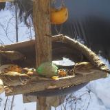 photo 2019-01-27 09-52-16