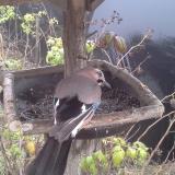 photo 2019-12-12 14-54-21