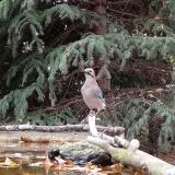 photo 2023-10-19 13-39-25 matyi