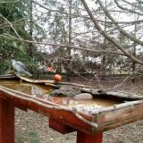 photo 2022-03-17 07-57-23