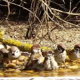 photo 2021-03-11 10-35-18 furdes