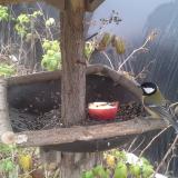 photo 2019-12-06 11-49-07