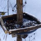 photo 2019-01-09 08-54-38