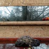 photo 2022-01-28 12-20-03