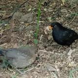 photo 2021-05-06 14-18-06 rigok