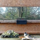 photo 2023-10-26 14-25-07