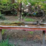 photo 2021-04-25 18-36-57