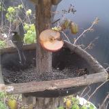 photo 2019-12-05 09-07-43