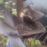 photo 2019-12-08 07-29-33