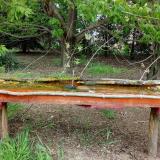 photo 2021-04-29 15-39-29