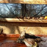 photo 2022-01-23 11-14-31