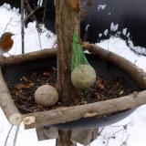 photo 2019-01-12 10-12-08