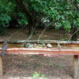 photo 2021-07-14 12-46-24