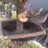 photo 2019-12-04 11-15-05