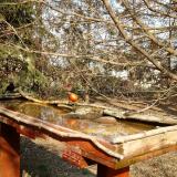 photo 2022-03-18 14-24-02