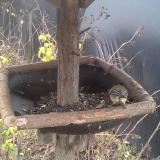 photo 2019-12-22 13-33-05