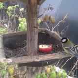 photo 2019-12-06 11-24-56