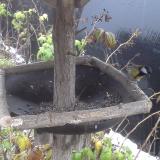 photo 2019-12-02 07-47-30