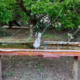 photo 2021-05-10 16-58-58