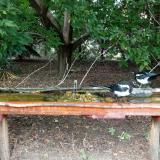 photo 2021-08-23 15-06-50