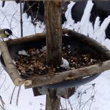 photo 2019-01-06 12-44-30