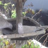 photo 2019-12-02 07-51-35