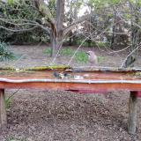 photo 2021-04-10 06-21-18