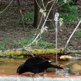 photo 2021-05-06 07-47-02 rigo