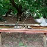 photo 2021-07-13 16-44-08