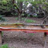 photo 2021-04-19 18-59-26