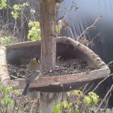 photo 2019-12-16 09-03-02