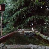 photo 2023-10-10 18-09-58