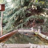 photo 2023-10-10 16-47-42