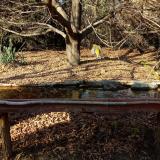 photo 2021-10-27 15-07-53