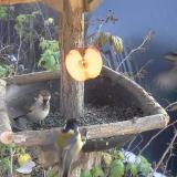 photo 2019-12-03 13-12-42