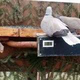 photo 2021-03-05 08-21-44