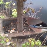 photo 2019-12-09 13-50-53