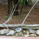 photo 2021-07-13 19-10-01 cinke